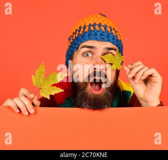 L'hipster con la barba e il viso sorpreso chiude gli occhi con la foglia. Idea di ottobre e novembre. L'uomo in cappello tiene foglie di acero verde su sfondo arancione, spazio copia. Concetto di autunno e clima freddo Foto Stock