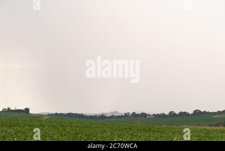 Pomeriggio di sole e pioggia. Paesaggio rurale. Zona di produzione agricola in Brasile. Piantagione di soia e pioggia su di esso. Foto Stock