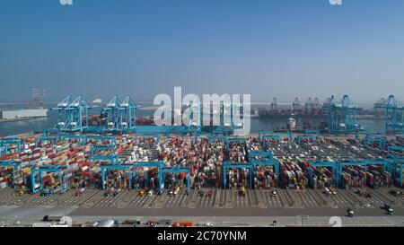 Vista aerea del terminal dei container nel porto DI MAASVLAKTE, Paesi Bassi Foto Stock