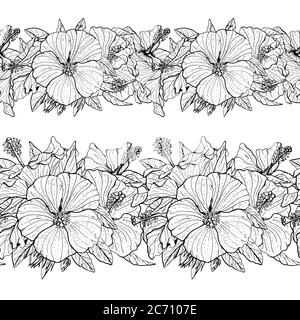 Due spazzole colorate e monocromatiche di fiori di ibisco senza cuciture disegnate a mano. Set di bordi floreali senza fine. Isolato su sfondo bianco. Vettore Illustrazione Vettoriale