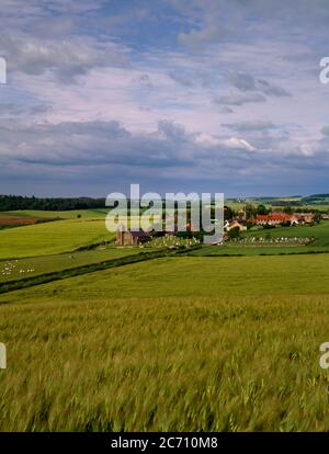 Branxton Church, Northumberland, Inghilterra, Regno Unito, guardando NE su Flodden Field dove gli inglesi sconfissero gli scozzesi guidati da James IV il 9 settembre 1513. Foto Stock