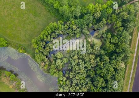 Morava paludi fiume da una vista dall'alto verso il basso. Foto Stock