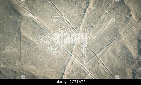 Nazca, Perù - Agosto 2017: La figura del cane come visto nelle linee Nasca Foto Stock