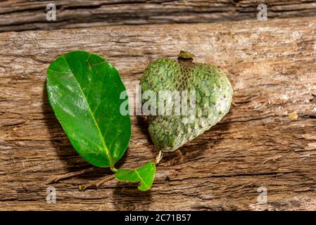 Atemoia frutta e foglia. Atemoia è un frutto ibrido che si ottiene attraversando la cherimoia (Annona cherimola, Mulino) con l'ananas (Annona squamos Foto Stock