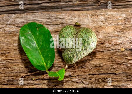 Atemoia frutta e foglia. Atemoia è un frutto ibrido che si ottiene attraversando la cherimoia (Annona cherimola, Mulino) con l'ananas (Annona squamos Foto Stock