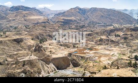 Colca Canyon, Perù, Sud America. Gli Incas costruirono terrazze agricole con laghetto e scogliera. Uno dei canyon più profondi del mondo. Foto Stock