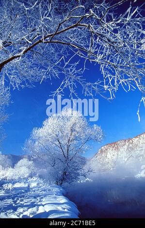 La Rime della provincia di heilongjiang Foto Stock