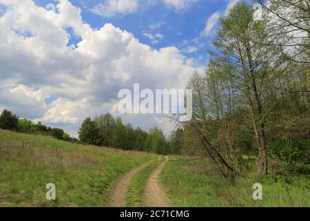 Strada di Rut attraverso prato in steppa, prendere in Ucraina Foto Stock