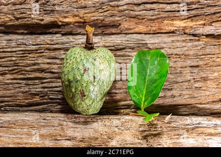 Atemoia frutta e foglia. Atemoia è un frutto ibrido che si ottiene attraversando la cherimoia (Annona cherimola, Mulino) con l'ananas (Annona squamos Foto Stock