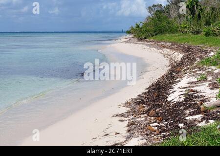 La vista sulla splendida spiaggia tropicale nel Parco Nazionale Est, vicino a Bayahibe, Dominikana Republic Foto Stock