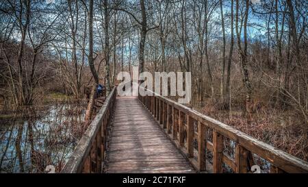 Sakarya, Turchia - 19 gennaio 2013: Foresta di longoz di Acarlar nella Turchia di Sakarya Foto Stock