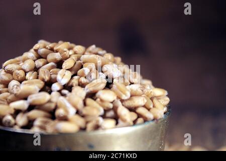 Pila di grano integrale organico. Grano fresco raccolto in una ciotola isolata su sfondo di legno. Grani di grano e farina di grano. Foto Stock