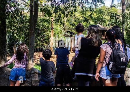 San Paolo, San Paolo, Brasile. 13 luglio 2020. (INT) riapertura dello zoo di Sao PauloÃ¢â‚¬â„¢. 13 luglio 2020, San Paolo, Brasile: Movimento di persone allo zoo di Sao PauloÃ¢â‚¬â„¢durante la riapertura di parchi comunali e accademie a San Paolo dopo quasi 3 mesi di chiusura a causa della pandemia di covid-19 nel quartiere della zona sud di Agua Funda di Sao Paulo.Credit: Van Campos/Thenews2 Credit: Van Campos/TheNEWS2/ZUMA Wire/Alamy Live News Foto Stock