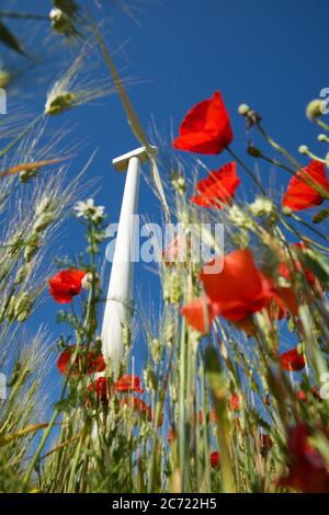 Turbina eolica per la produzione di energia elettrica, provincia di Saragozza, Aragona in Spagna. Foto Stock