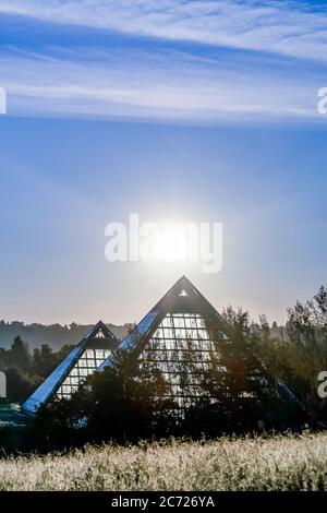 Piramidi del Conservatorio di Muttart, alba, Edmonton, Alberta, Canada Foto Stock