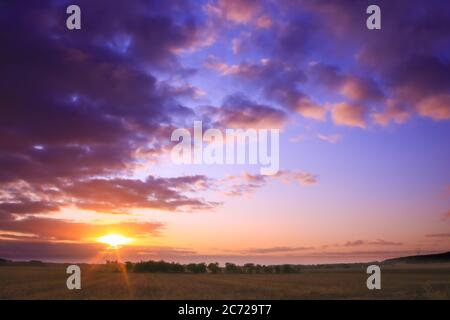 Tramonto mozzafiato su una foresta. Raggi di luce attraverso le nuvole in un cielo romantico. Paesaggio di vacanza in estate. Campi di erba nel terreno. Foto Stock