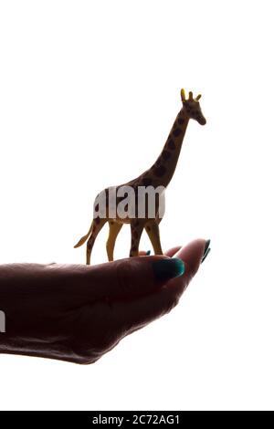 Mani della donna con una rara figura animale in pericolo - silhouette scura isolata, concetto di protezione degli animali dall'estinzione Foto Stock