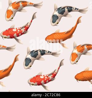 Carpe koi senza cuciture Illustrazione Vettoriale