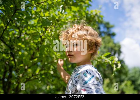 Piccolo bambino che gioca in giardino Foto Stock