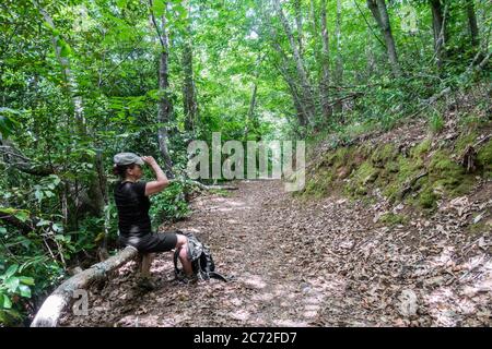 Donna escursionista sotto la foresta baldacchino. Foresta di balneazione, shinrin yoku. Foto Stock