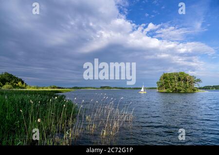 Lago di Cracovia nel distretto dei laghi di Meclemburgo, Germania Foto Stock