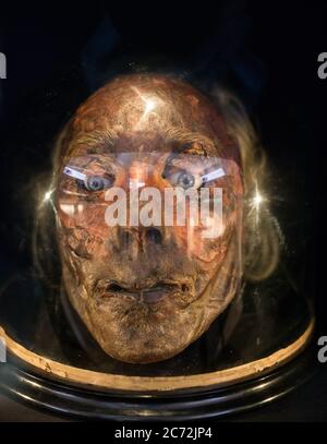 Jeremy Bentham - Mummified Head, in mostra all'University College di Londra Foto Stock