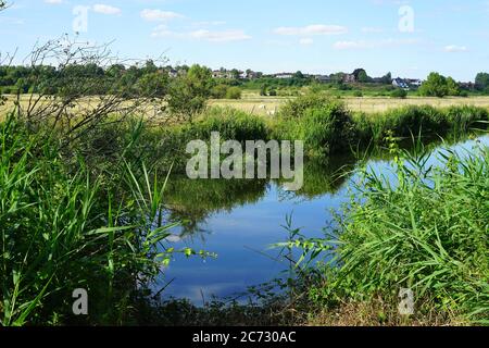 Il fiume Great Ouse all'Emberton Country Park Foto Stock