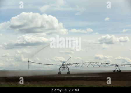 Un irrigatore a perno per centri agricoli utilizzato per irrigare file di patate in un campo nei fertili campi agricoli dell'Idaho. Foto Stock