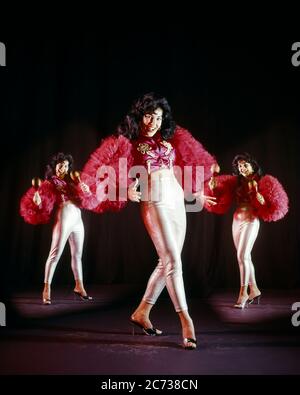 1970 MUSICA LATINA TRITTICO SORRIDENTE DONNA BALLERINA GIOCANDO MARACAS GUARDANDO LA FOTOCAMERA INDOSSANDO ARGENTO ZAMPILLETTE ROSSO MANICHE VOLANT - KD3047 PHT001 HARS VECCHIO TEMPO NOSTALGIA VECCHIO STILE DI MODA 1 VISO STILE DI COMUNICAZIONE CARRIERA GIOVANE ADULTO EQUILIBRIO SPAGNOLO PANTALONI FELICE GIOIA STILE DI VITA ATTORE CELEBRAZIONE FEMMINE STUDIO SHOT COMUNICANTE MARACAS COPIA SPAZIO DONNE A LUNGHEZZA INTERA PERSONE ISPIRAZIONE PROFESSIONE INTRATTENIMENTO CONFIDENZA ESPRESSIONI CONTATTO OCULARE BRUNETTE LIBERTÀ DI ESECUZIONE ARTI TENTAZIONE OCCUPAZIONE FELICITÀ ALLEGRO PERFORMER FORZA STILI CAREERS ECCITAZIONE POTENTE TRIO ORGOGLIO ENTERTAINER Foto Stock