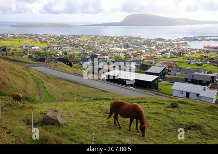 Cavalli su erba slop con la vista di Torshavn e porto sullo sfondo.Torshavn.Streymoy. Isole Faroe. Territorio della Danimarca Foto Stock