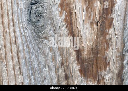 Trama di sfondo in legno d'epoca con nodi Foto Stock