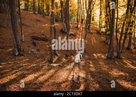 Donna incinta nordica Walking nella foresta autunnale con zaino e bastoni da trekking. Stile di vita sano e attivo nel tempo di maternità. Esercizi di gravidanza per il benessere. Foto Stock