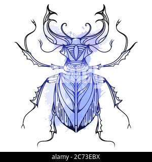 Scarabeo d'epoca disegnato a mano con spruzzi di acquerello blu. Insetto con modello di doodle. Elemento vettoriale per schizzo del tatuaggio, stampa su T-shirt, posta Illustrazione Vettoriale