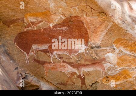 Drakensberg, sito di pittura rock 'Eland cave', arte rock, gola di Didima, Giants Castle Game Reserve, Uthukela, KwaZulu-Natal, Sudafrica, Africa Foto Stock