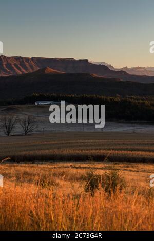 Drakensberg, vista mattutina di campi e montagne, da sani Pass Road, Underberg, vicino alla zona Wilderness di Mkhomazi, KwaZulu-Natal, Sudafrica, Africa Foto Stock