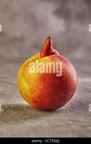 Frutta o verdura brutta. Pesche mutanti gravemente malformate su sfondo grigio. La frutta brutta non è in forte domanda. Foto Stock