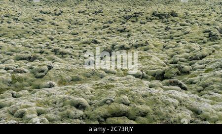 Campi lavici ricoperti di muschio, noti anche come lava verde a Skaftareldahraun, Islanda Foto Stock