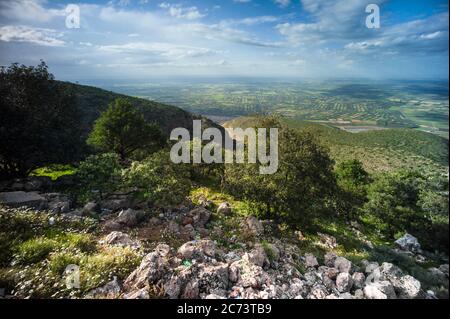 Vista panoramica della fertile valle dell'Atlante in Marocco, Africa. Valli fornite da irrigazione rendono possibile l'agricoltura Foto Stock