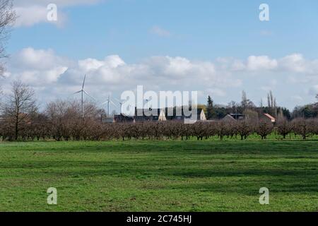 Sint Gillis WAAS, Belgio, 03 marzo 2020, parco dei mulini a vento ai margini di una zona residenziale Foto Stock