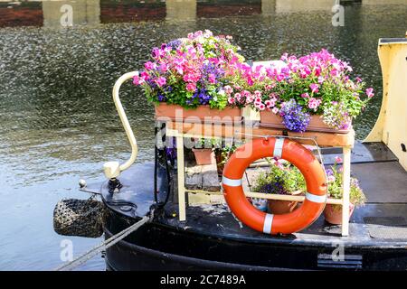cambridge , UK, 13-072020, Fiore scatola piena di piante in fiore sul retro di una casa galleggiante sul fiume Cam. Foto Stock