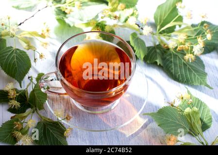 Tazza di tisana di vetro e fiori di tiglio su un tavolo di legno bianco. Bevanda calda sanitaria. Foto Stock