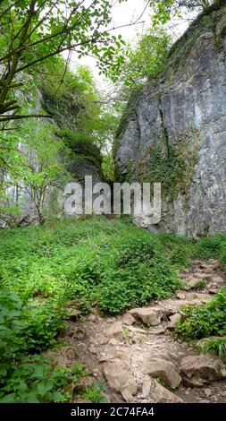 Sentiero roccioso attraverso uno stretto canyon nella foresta della Riserva Naturale Nazionale della Gola di Ebbor. Wookey Hole, Wells, Regno Unito Foto Stock