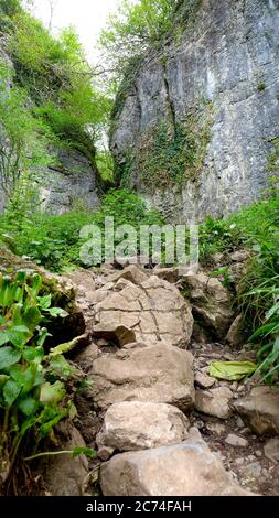 Sentiero roccioso attraverso uno stretto canyon nella foresta della Riserva Naturale Nazionale della Gola di Ebbor. Wookey Hole, Wells, Regno Unito Foto Stock