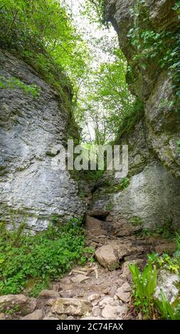 Sentiero roccioso attraverso uno stretto canyon nella foresta della Riserva Naturale Nazionale della Gola di Ebbor. Wookey Hole, Wells, Regno Unito Foto Stock