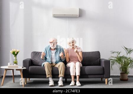 Coppia anziana allegra che mostra i pollici in su e i gesti di yeah sul divano a casa Foto Stock