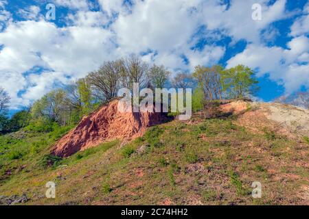 Tiglio pit leeth, nazionale geotop, Germania, NSG Liether Kalkgrube, Klein Nordende Foto Stock