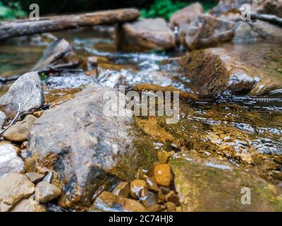 Primo piano di un fresco flusso di mautain fresco con grandi rocce sul fondo delle montagne dei Carpazi. Vecchio albero caduto log come un ponte e una foresta scura Foto Stock