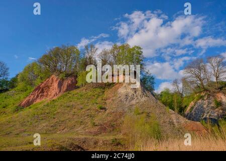 Tiglio pit leeth, nazionale geotop, Germania, NSG Liether Kalkgrube, Klein Nordende Foto Stock