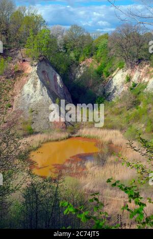 Tiglio pit leeth, nazionale geotop, Germania, NSG Liether Kalkgrube, Klein Nordende Foto Stock