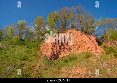 Tiglio pit leeth, nazionale geotop, Germania, NSG Liether Kalkgrube, Klein Nordende Foto Stock